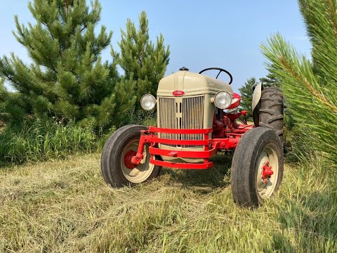Видео: Выходные в середине лета с Ford 8N! Покос травы и финальная обработка участка диском