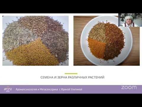 Видео: Натуральная косметика из трав  шаг к здоровой коже и волосам