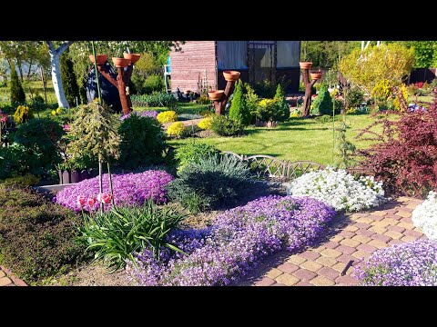 Видео: Любимая дача 08.05.2025. г.💜💛💚Творю красоту #дачныебудни 🌞🌺