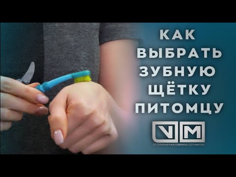 Видео: Как выбрать зубную щётку питомцу