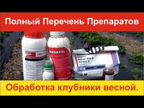 Видео: Обработка клубники весной.