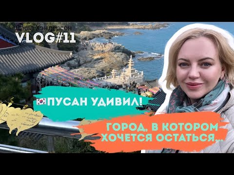 Видео: Vlog#11 Почему все влюбляются в Пусан? Теперь я знаю!