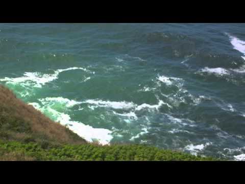 Видео: Абрахам-Хикс. Эпизод 6: Уйдите от темы и не мешайте Вселенной