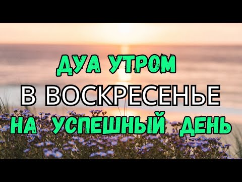 Видео: ДУА УТРОМ В ВОСКРЕСЕНЬЕ САМЫЙ МОЩНЫЙ СТАРТ ДНЯ!🤲🌞