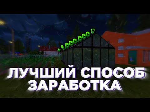 Видео: ОГОРОДЫ - ИМБА 💸😎 НАШЕЛ ЛУЧШИЙ СПОСОБ ЗАРАБОТКА НА РАДМИР РП | (Radmir Rp x Hassle Online) 18