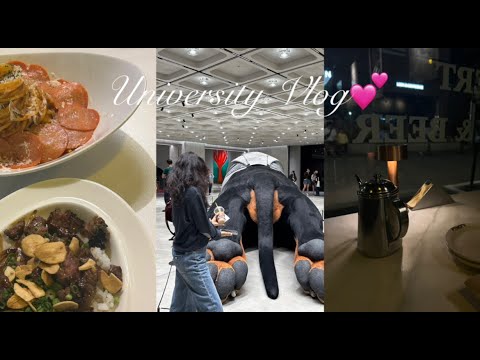 Видео: University Vlog📚 | unboxing📦, завгүй хичээлийн өдрүүд🏢