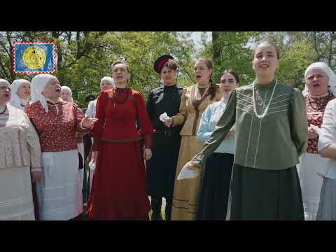 Видео: шермиции 2023 фильм