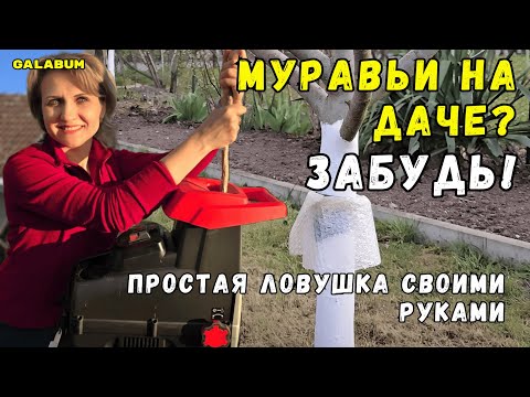 Видео: 3 Дачных Фишки: Сеем Горох, Ловушки для Муравьёв и Умная Подготовка Земли под Огурцы!