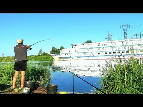 Видео: КРУПНЫЙ ЛЕЩ В ЖАРУ НА РЕКЕ . Рыбалка на ФИДЕР . ВРОДЕ ВСЕ ПОНЯЛ ,НО ВОПРОСЫ ОСТАЛИСЬ .