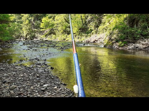 Видео: Хариус. май 2021. рыбалка в приморском крае