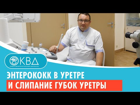 Видео: 💣 Энтерококк в уретре и слипание губок уретры. Клинический случай №444