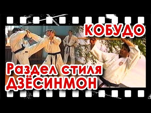 Видео: Архивные материалы: КОБУДО стиля Дзёсинмон Карате-до.