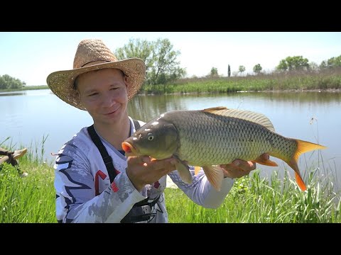 Видео: ТУЗИКОВ КИШИТ В ЭТОМ ВОДОЁМЕ, РАБЫЛКА 2022 фишинг ВЯЖУ ФИДЕРНЫЙ МОНТАЖ