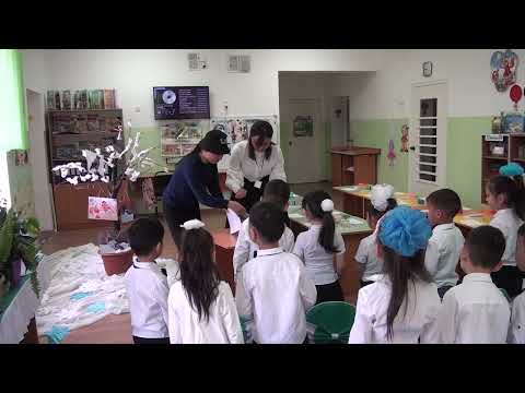 Видео: Тақырыбы: "Қыстап қалатын құстар"