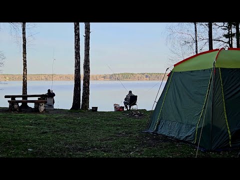 Видео: Рыбалка с Двумя Ночевками на Любимое Место! Фидер на Чигиринском водохранилище. Подлещик и Густера.