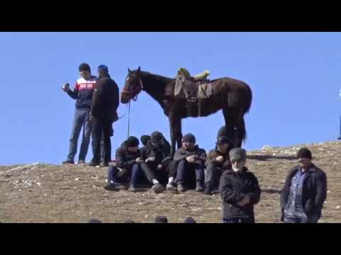 Видео: ГАГАТЛИ.Скачки 2-я партия.9.03.2019