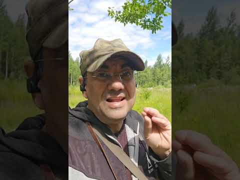 Видео: Так что же делать, когда всё понял? (1 часть).