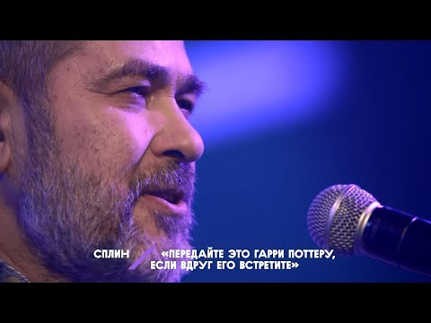 Видео: Александр Васильев – Передайте это Гарри Поттеру, если вдруг его встретите (НМДНИ-2020)