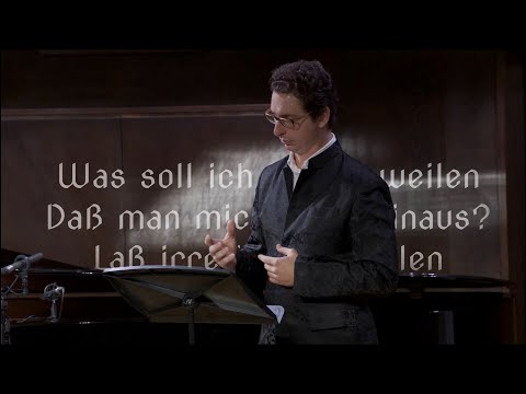 Видео: Франц Шуберт "Зимний путь" / Franz Schubert "Die Winterreise"