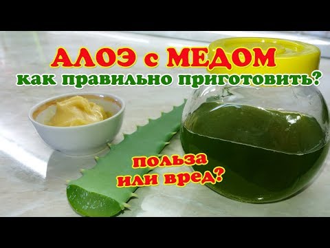 Видео: Лечение Алоэ с Медом. Как правильно приготовить и как принимать.