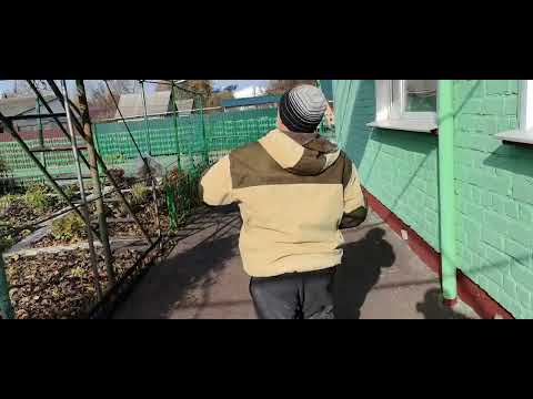Видео: Тренировка Николаевской птицы Опритов Ю. В.