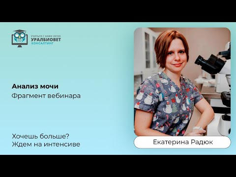 Видео: Фрагмент интенсива "Анализ мочи", лектор Екатерина Радюк