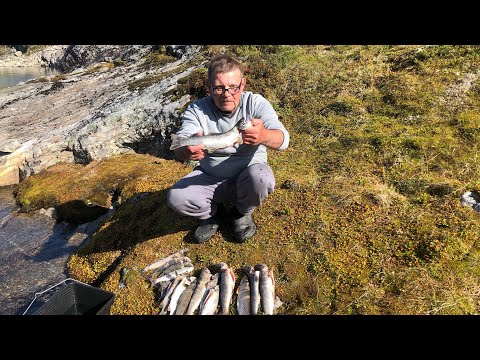 Видео: Ловля форели в горном озере в Норвегии. Ørretfiske i et fjellvann, Norge, Ulvik kommune