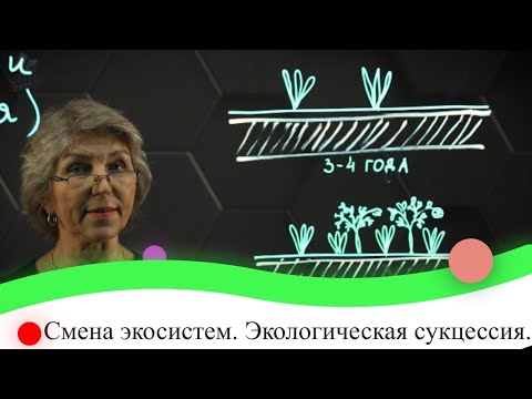 Видео: Смена экосистем. Экологическая сукцессия. 7 класс.