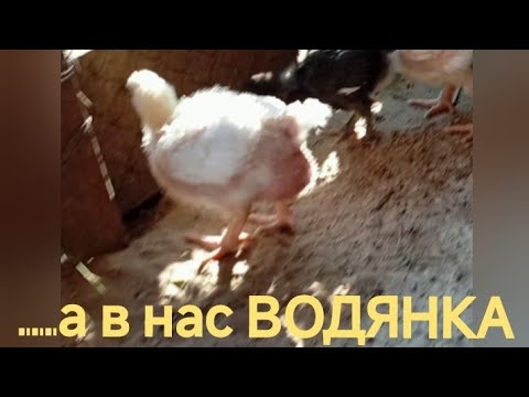 Видео: 🗨️Як МИ ДОЛАЄМО, таку ХВОРОБУ, як ВОДЯНКА!?💦