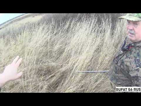 Видео: УТИНЫЕ СТУКАЧИ В ДЕЛЕ