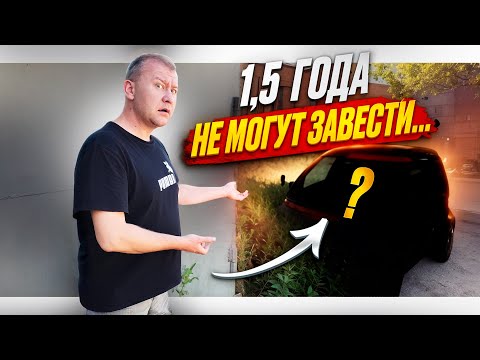 Видео: Большая маленькая проблема