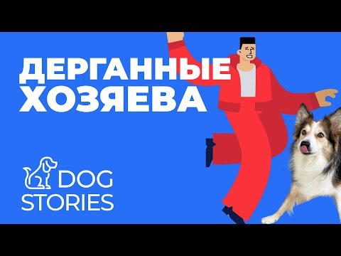 Видео: Гиперактивный щенок 🐕 Дерганные хозяева = перевозбуждённая собака