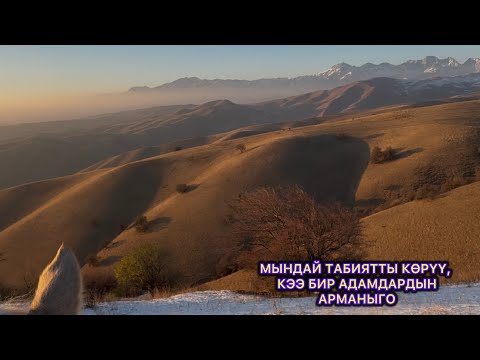 Видео: Ат бастыруу, Сейилдөө, Кыргыз Тайгандары