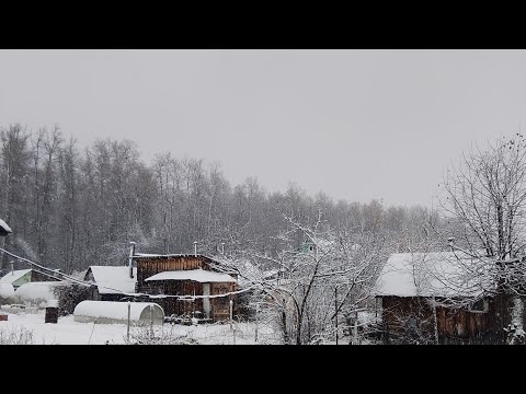 Видео: Дачная жизнь. Выпал снег. Зима на носу.