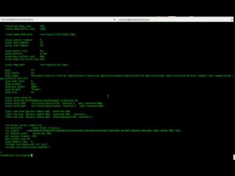 Видео: Настройка кэширования в Nginx для ускорения сайтов (Николай Лавлинский)