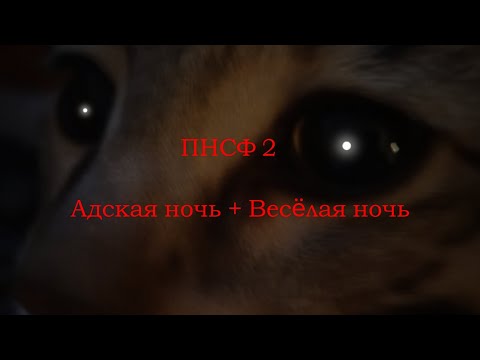 Видео: Извините, без мрачной ночи... 