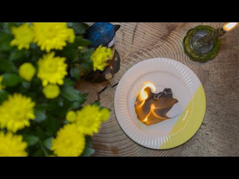 Видео: ЧТО ВАС ОЖИДАЕТ В ЗАГАДАННЫЙ СРОК⁉️🦋 Гадание на пепле🔥