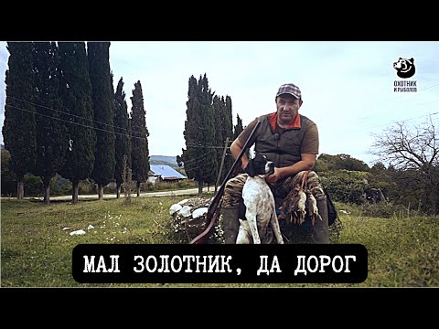Видео: Мал золотник, да дорог // Спутники охотника // Серия 3