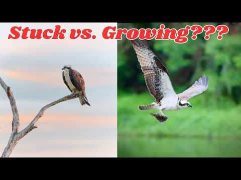 Видео: Почему некоторые фотографы становятся лучше (а другие — нет)!!