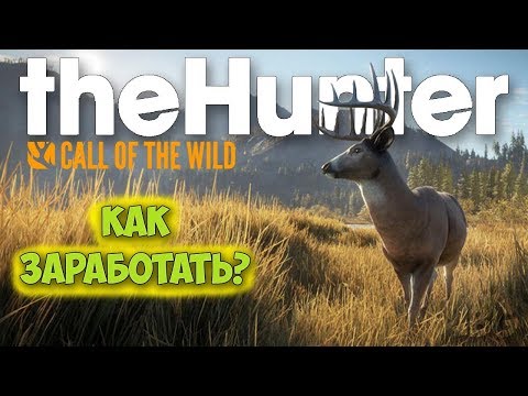 Видео: КАК ЗАРАБОТАТЬ БЫСТРО ДЕНЕГ - ОХОТА - The Hunter: Call of the Wild #5
