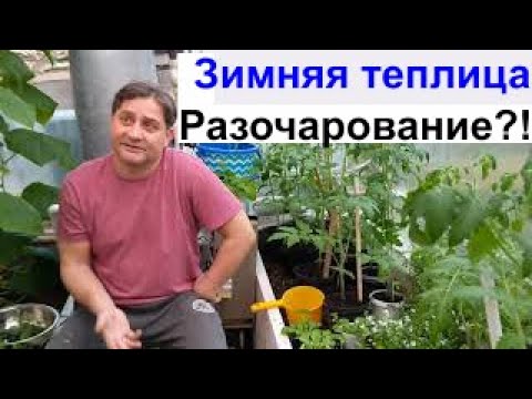 Видео: Зимняя теплица.  Разочарование или как!?