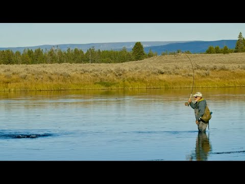 Видео: Как найти или «разведать» форель на новой реке