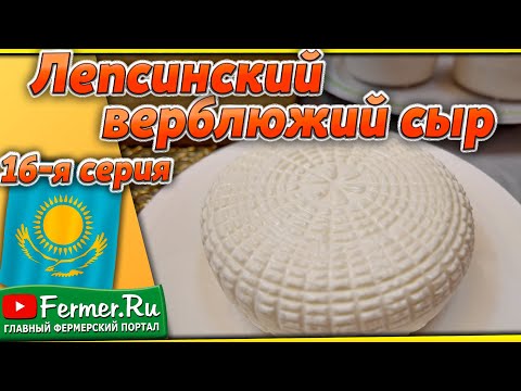 Видео: Сыр из верблюжьего молока! Часть 2-я. Зачем контролировать pH? Дегустация верблюжьего сыра.