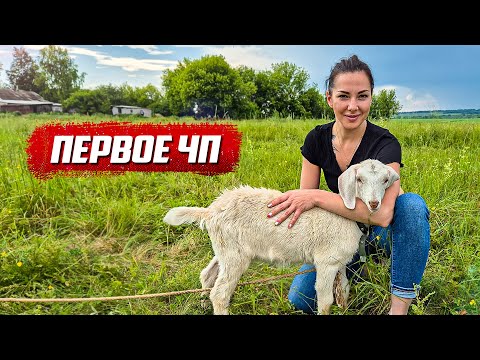 Видео: Обидные потери... | Орловская обл, Колпнянский р/н д.Удеревка