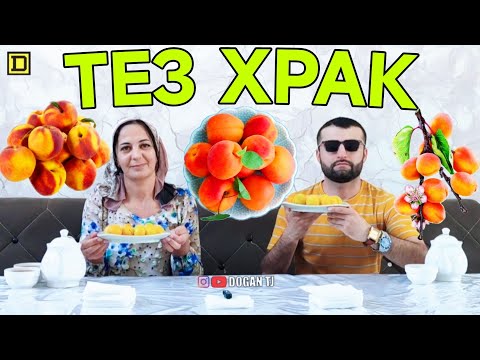 Видео: ТЕЗ ХРАК ЗАРДОЛУ ДОFАН & МЕХРАНГЕЗ /ИШТИРОКЧИ АЗ ш.ДАНГАРА /DOGAN TJ