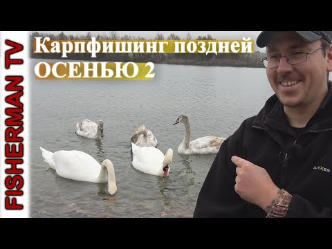 Видео: Карпфишинг поздней осенью 2