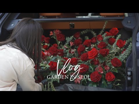 Видео: Сеульский цветочный магазин | Букет из 100 красных роз и оформление предложения в багажнике