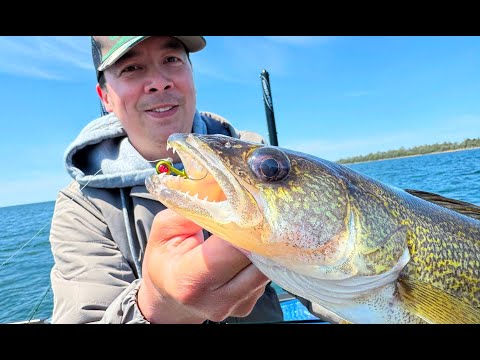 Видео: НОВЫЙ цвет Sneaky Walleye для ловли на джиг (при участии Тома Хьюна)