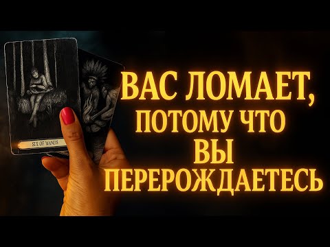 Видео: 🔥 Вас ломает, потому что вы перерождаетесь 💫 Судьба строит из вас новую силу ⚡️