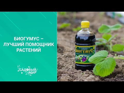 Видео: Биогумус – лучший помощник растений